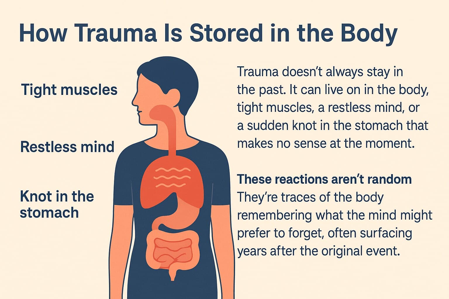 Infographic showing how trauma is stored in the body, highlighting tight muscles, restless mind, and a knot in the stomach with explanatory text.